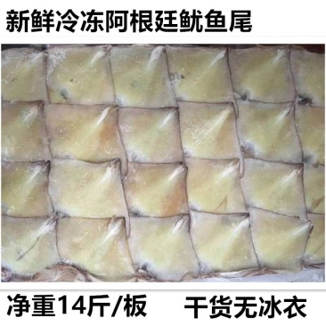 新鲜冷冻大鱿鱼尾无冰鱿鱼耳鱿鱼须头铁板烧烤专用14斤海鲜