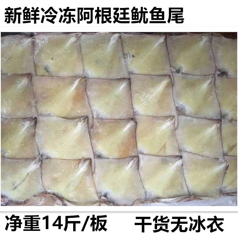 新鲜冷冻大鱿鱼尾无冰鱿鱼耳鱿鱼须头铁板烧烤专用14斤海鲜