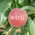 桐柏朱砂红桃苗品种纯正，苗圃直销包邮