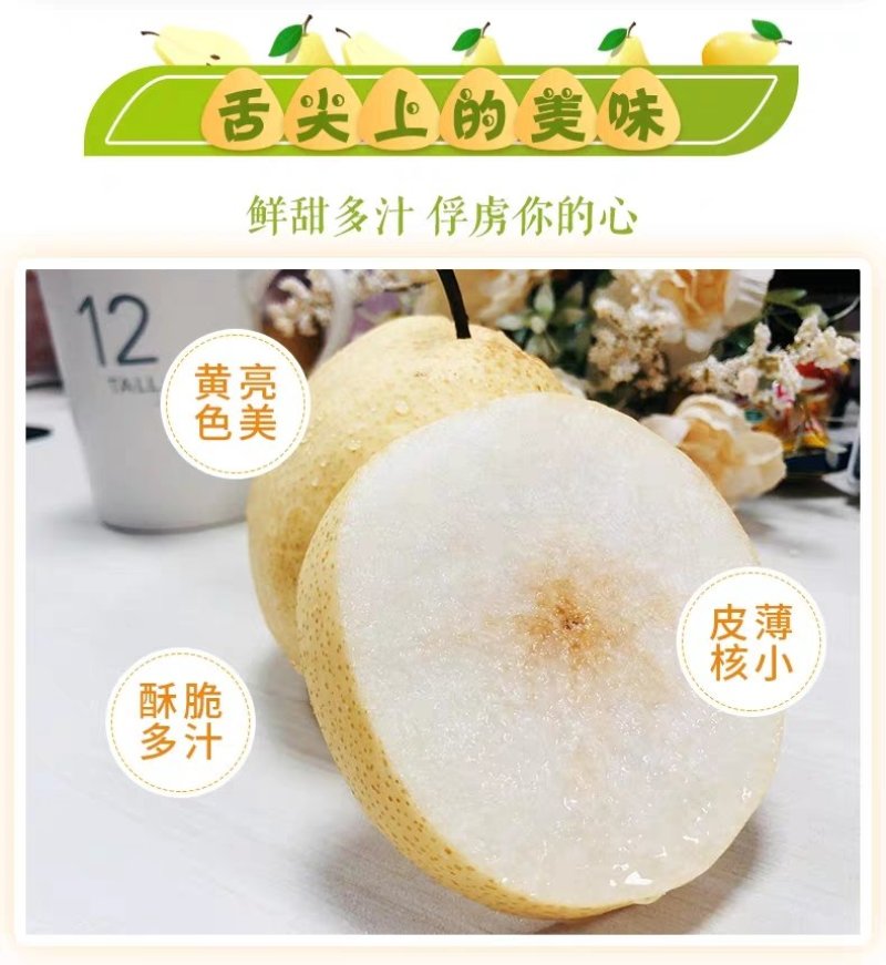 祁县酥梨