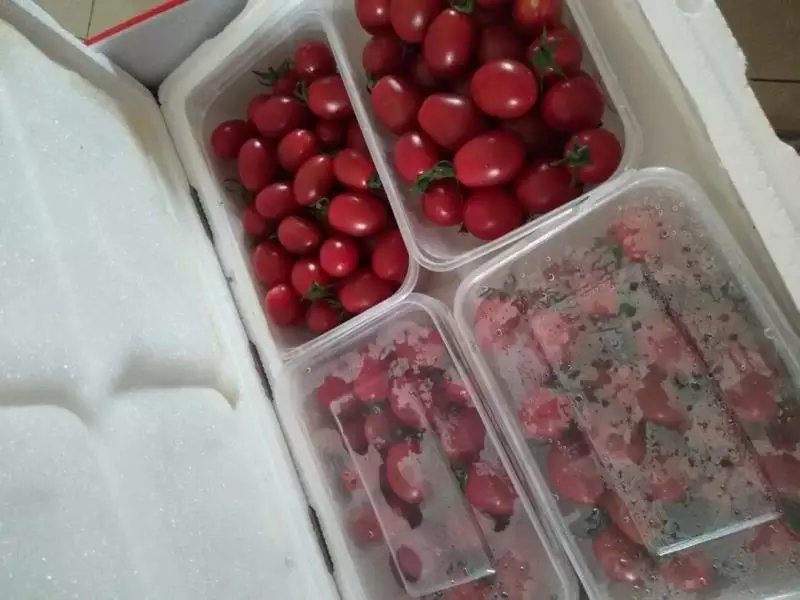 海南千禧供应：电商，团购，商超，一件代发