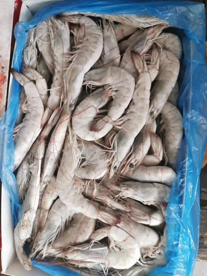 原装王牌盐冻南美白对虾青虾量大可谈
