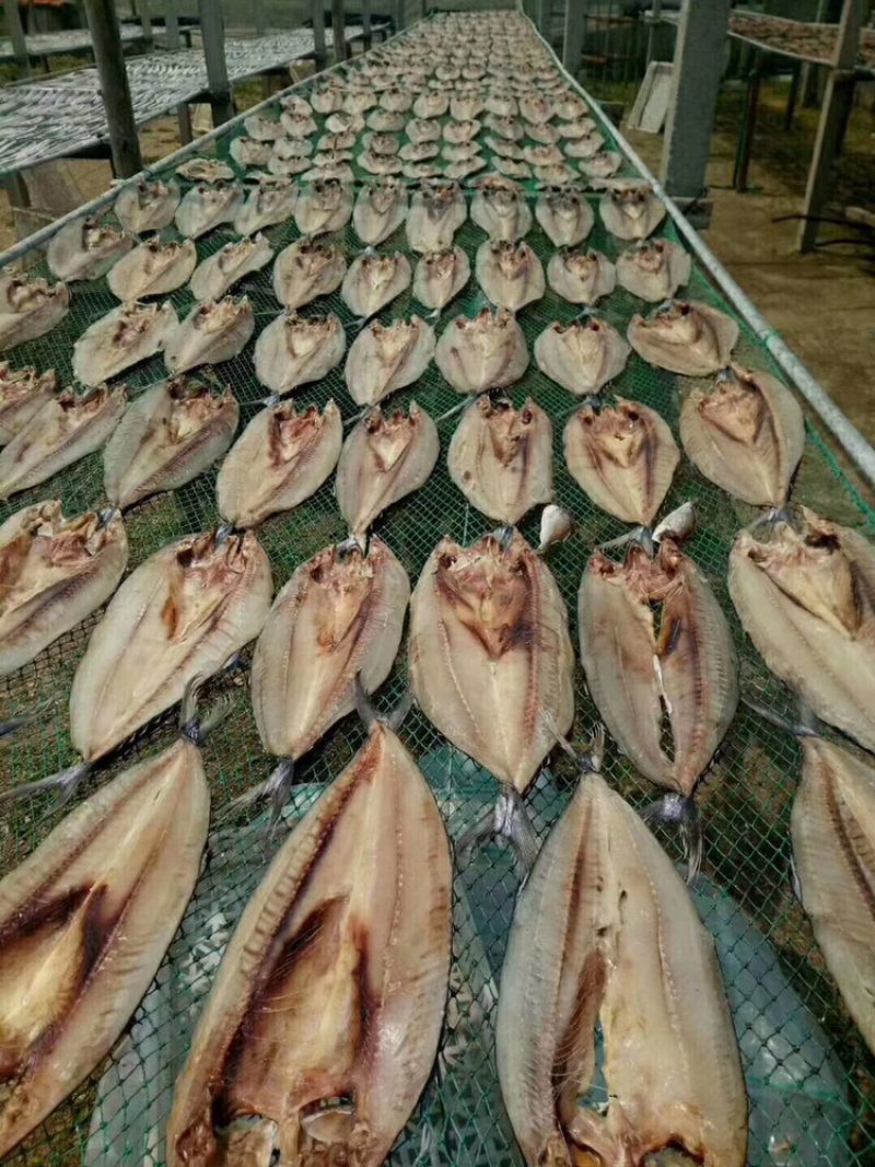 鲅鱼干渤海鲅鱼干正宗的鲅鱼干