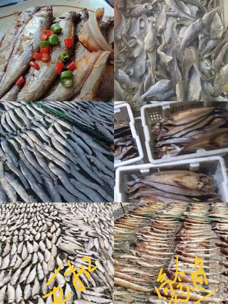鲅鱼干渤海鲅鱼干正宗的鲅鱼干