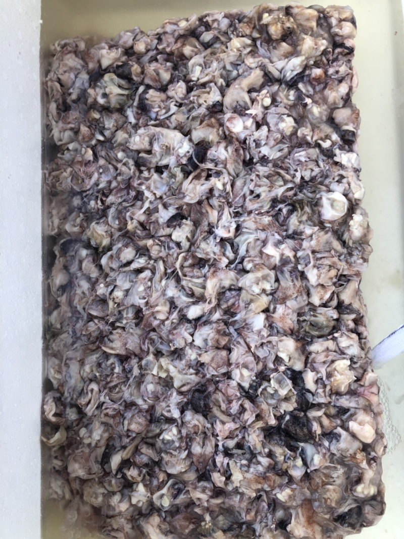 真鱿鱿鱼脖150-200