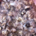 真鱿鱿鱼脖150-200