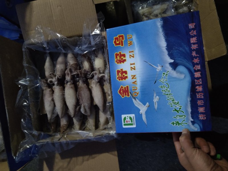 籽乌