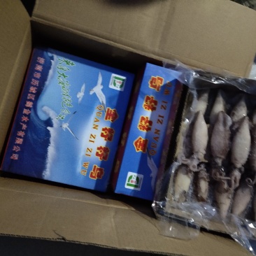 籽乌