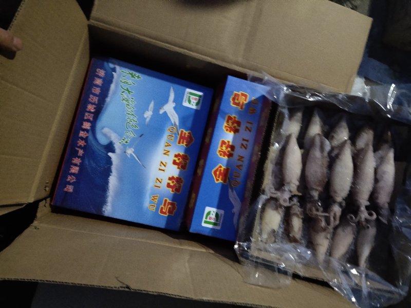 籽乌