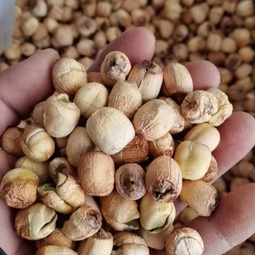 江西广昌手工红莲子，一手货源，你户直销