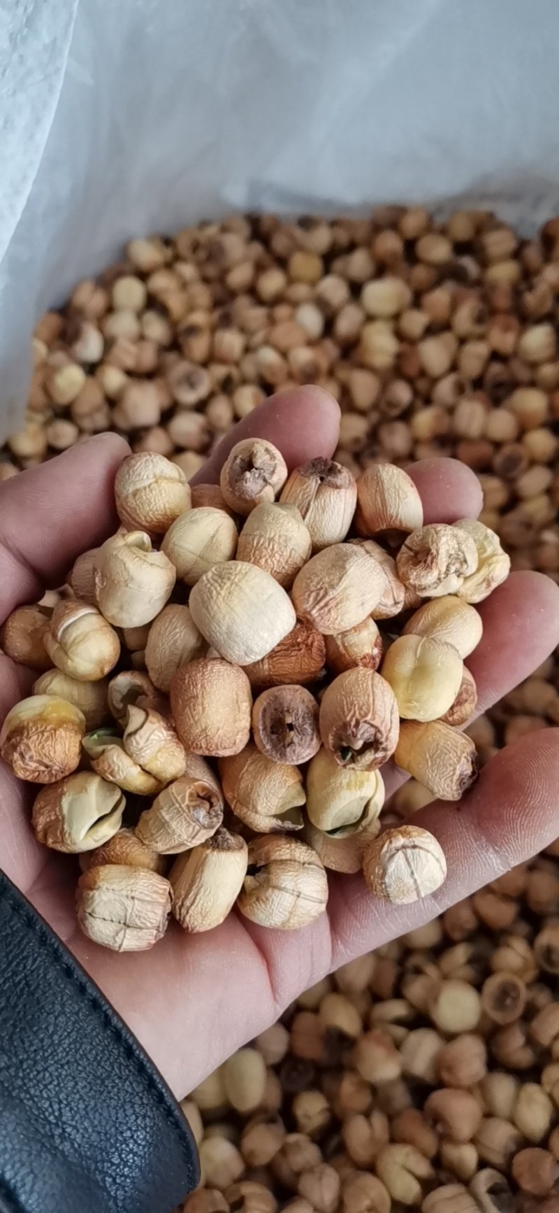 江西广昌手工红莲子，一手货源，你户直销
