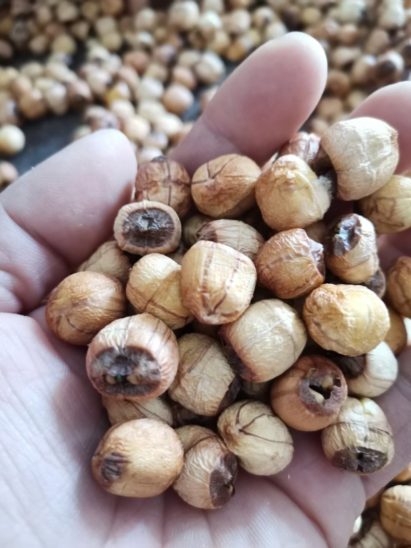 江西广昌手工红莲子，一手货源，你户直销