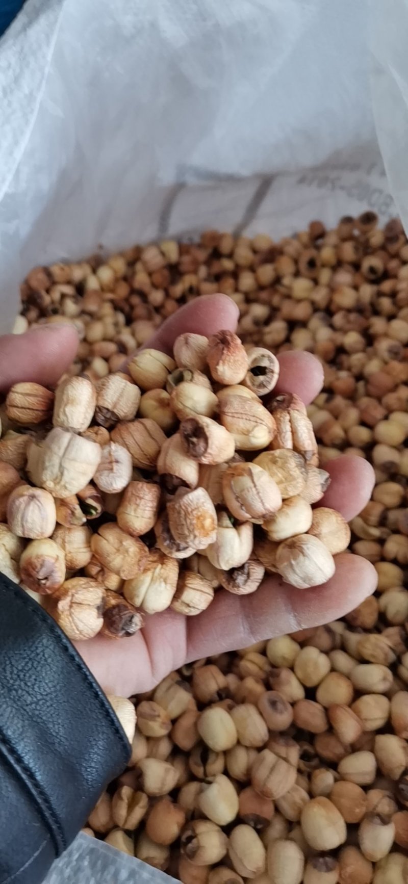 江西广昌手工红莲子，一手货源，你户直销