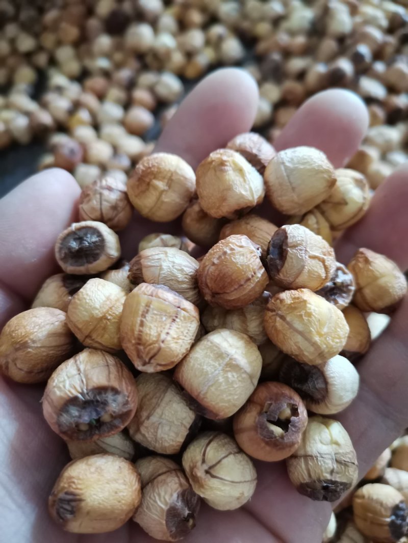 江西广昌手工红莲子，一手货源，你户直销