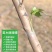 嫁接膜无需打结风干自粘型包邮量大优惠保鲜膜