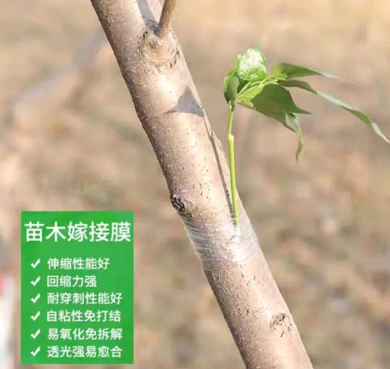 嫁接膜无需打结风干自粘型包邮量大优惠保鲜膜