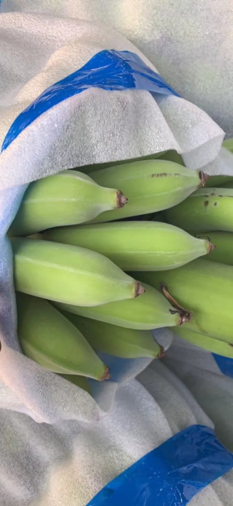 粉蕉，广西金粉肥大饱满皮毛靓，苹果蕉大量供应