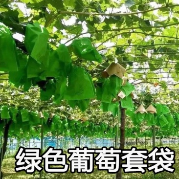 露天用葡萄专用套袋葡萄纸袋葡萄袋子葡萄套袋防雨防病防虫袋
