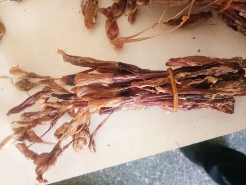 狗鞭全狗鞭全狗肾无硫无添加泡酒料包邮