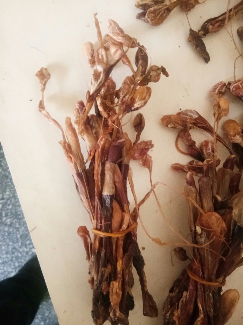 狗鞭全狗鞭全狗肾无硫无添加泡酒料包邮