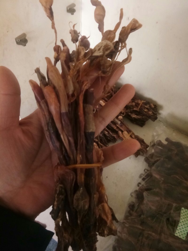 狗鞭全狗鞭全狗肾无硫无添加泡酒料包邮