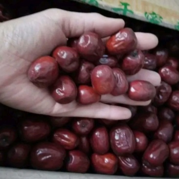 板枣