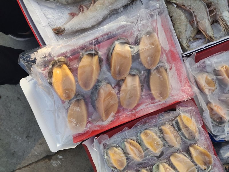 鲍鱼