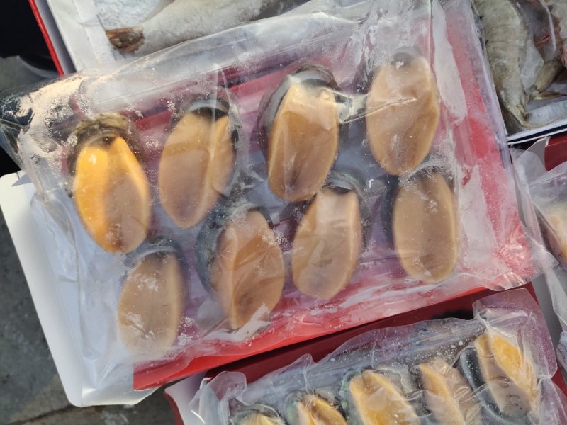 鲍鱼