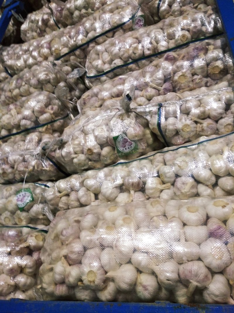 金乡大蒜10斤亮袋包装原产地发货保质保量欢迎来电