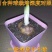 荷兰百合香水百合重瓣花色花色齐全成活率高耐寒