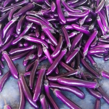 茄子
