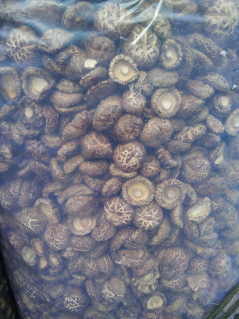 河南内乡山城小镇干香菇，菇乡菇香，产区直供，放心购。