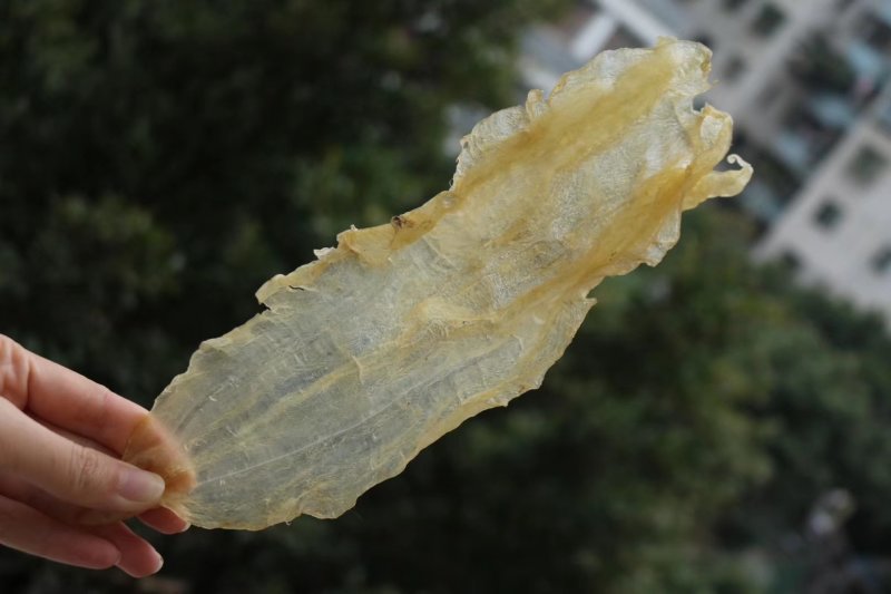 特级A货开边阴阳片鳌鱼胶14头规格批发零售代发