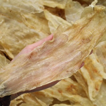 特级A货开边阴阳片鳌鱼胶14头规格批发零售代发