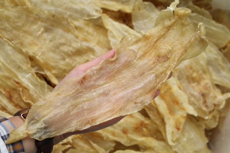 特级A货开边阴阳片鳌鱼胶14头规格批发零售代发