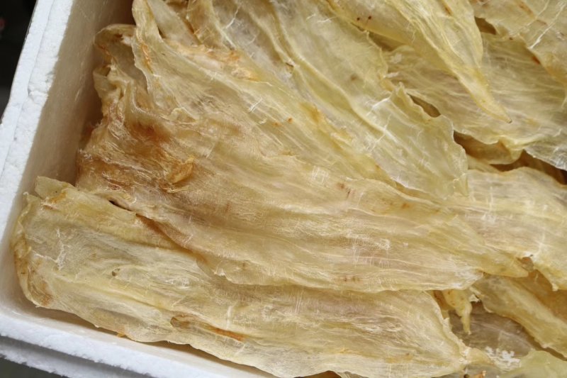特级A货开边阴阳片鳌鱼胶14头规格批发零售代发