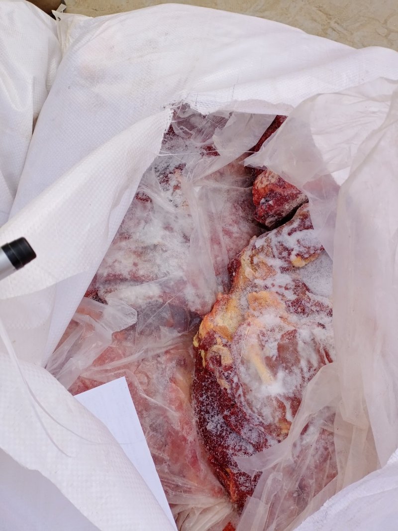蒙古马肉，质量上好。需要提前联系！