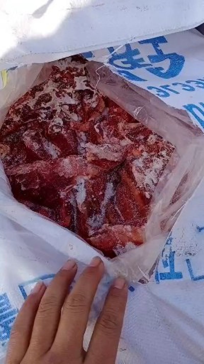 蒙古马肉，质量上好。需要提前联系！