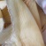 特级乌羊骨鱼翅12-14寸批发零售