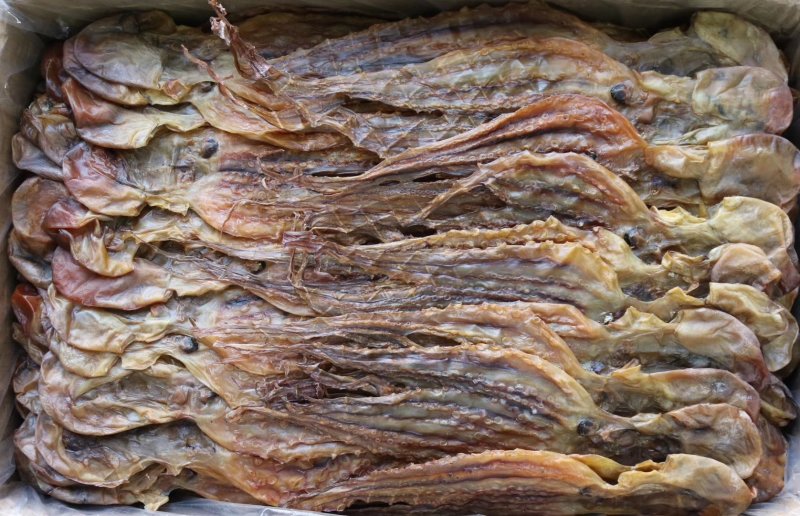 特级中号北海章鱼干12头规格批发零售代发