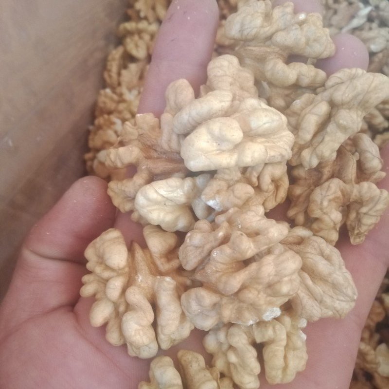 核桃仁，今年新鲜的，原色，原味儿，自然没加工
