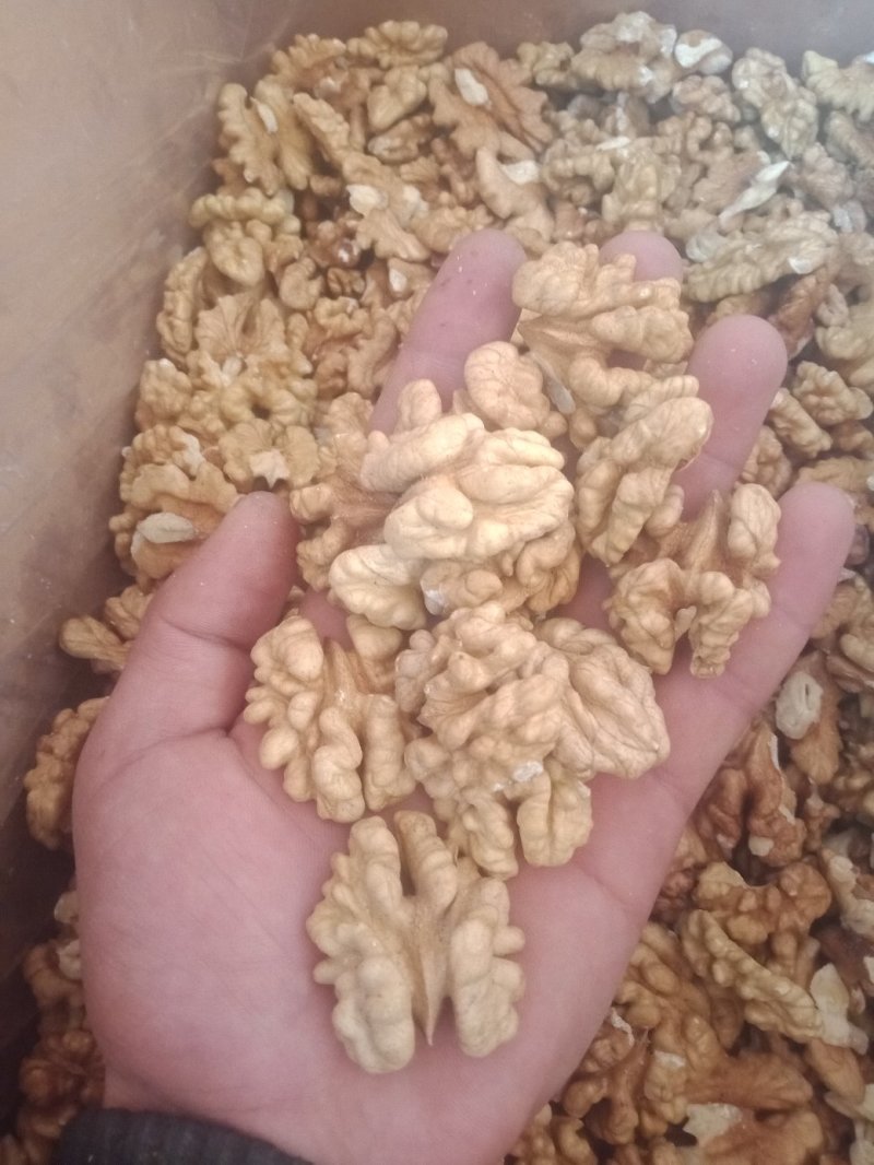 核桃仁，今年新鲜的，原色，原味儿，自然没加工