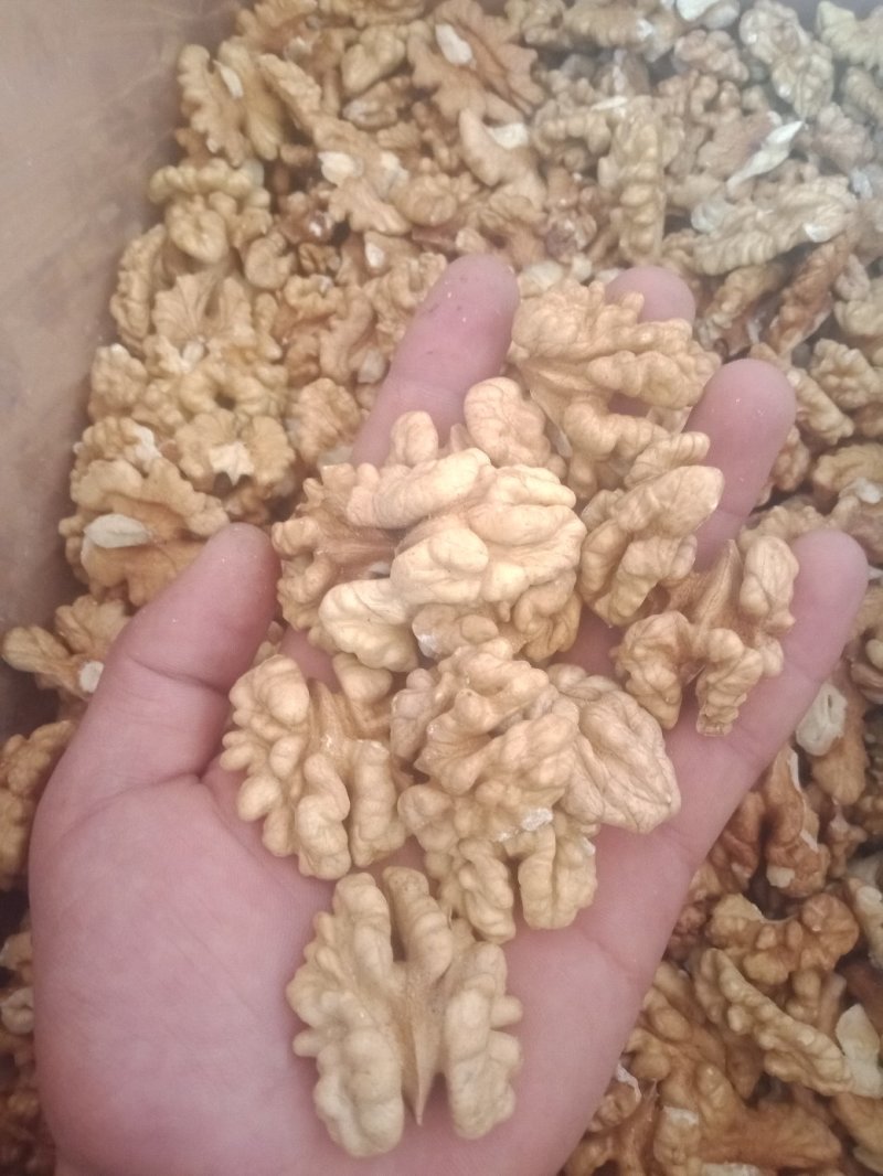 核桃仁，今年新鲜的，原色，原味儿，自然没加工