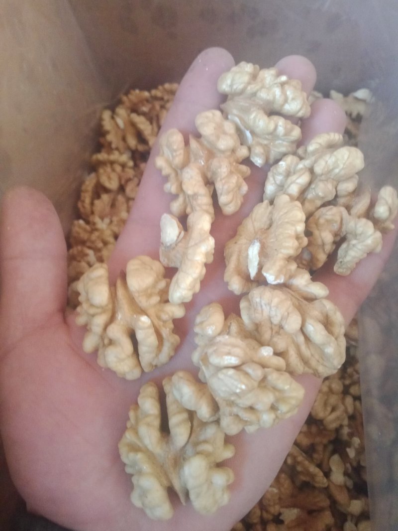 核桃仁，今年新鲜的，原色，原味儿，自然没加工