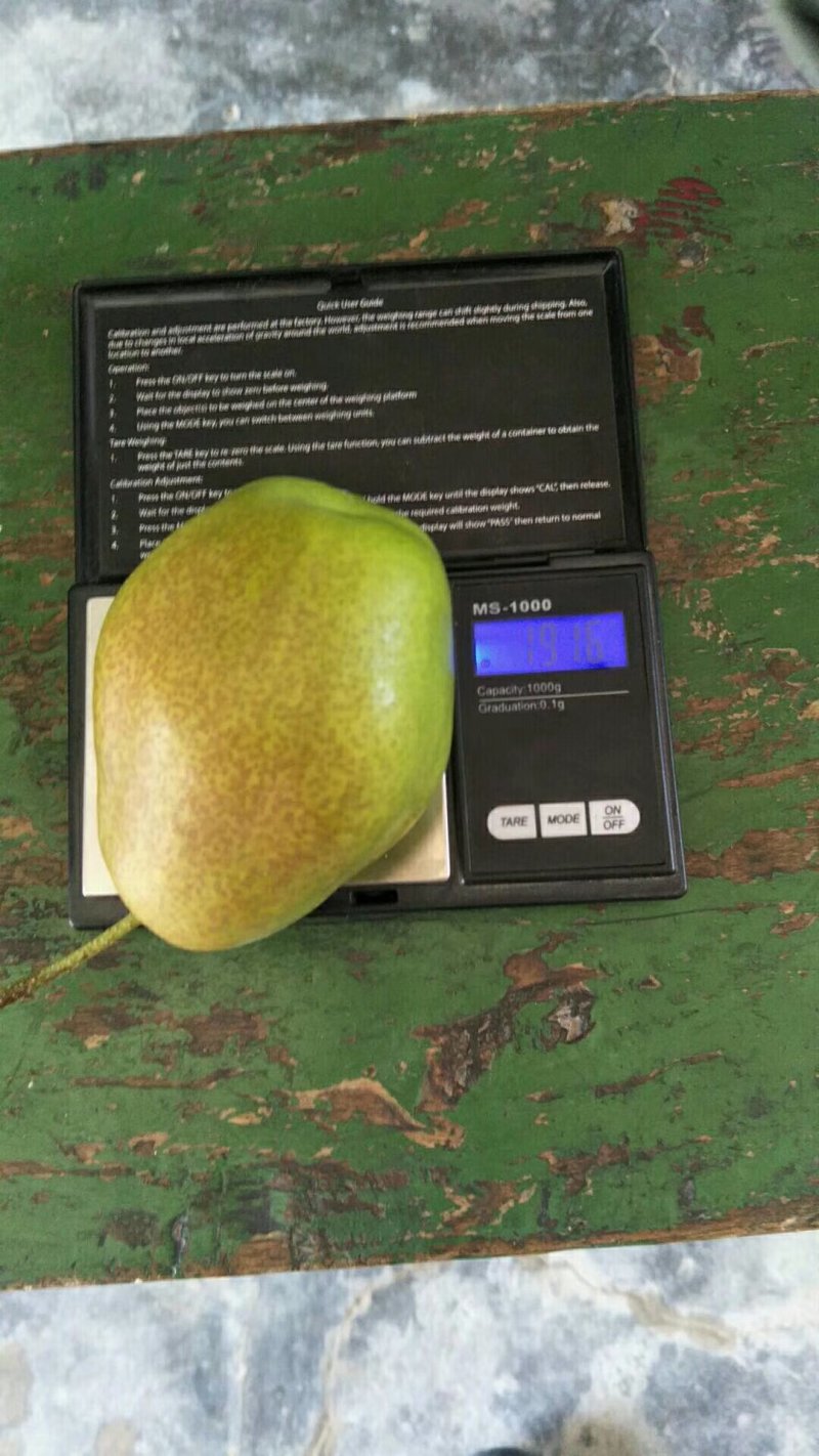 陕西，红香酥梨，脆甜可口，肉多汁光果150~200g