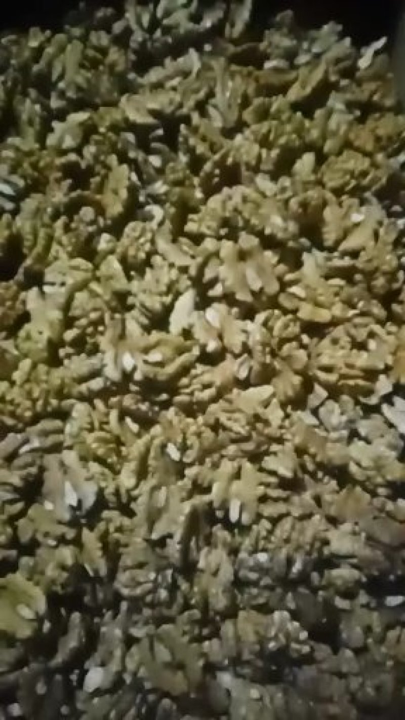 包邮，今年新上市核桃仁新品精品，量大优惠，原色，原味