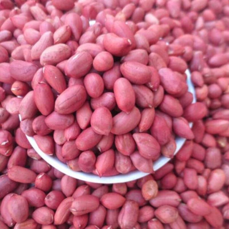 今年新花生米4粒红米红衣米大量上市共应精选