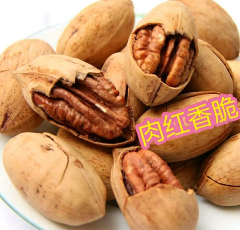 碧根果成活率高品种好产量高欢迎实地选购