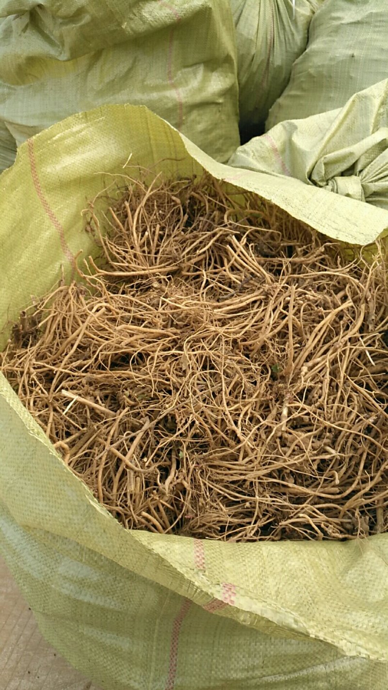 土牛膝，优质鲜牛膝，土牛膝个，牛膝统货，牛膝水洗货，牛膝