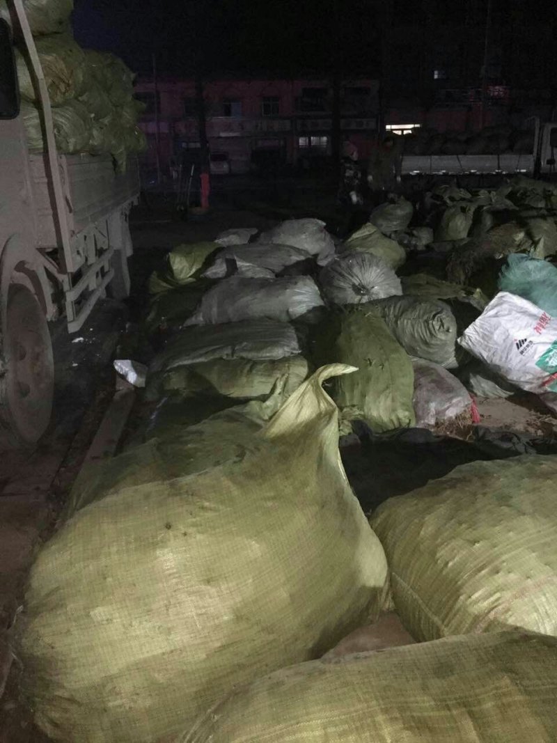 土牛膝，优质鲜牛膝，土牛膝个，牛膝统货，牛膝水洗货，牛膝